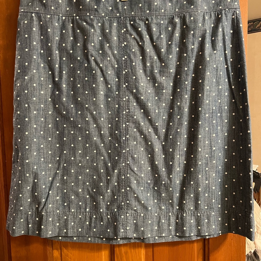 Talbots skirt 20W